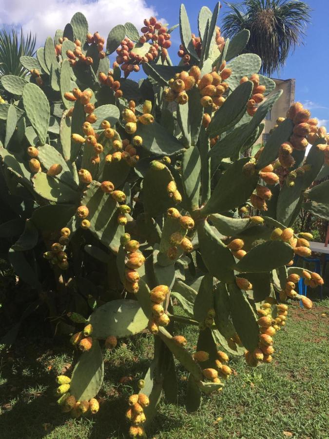 Il Giardino Degli Agrumi Caserta Kültér fotó