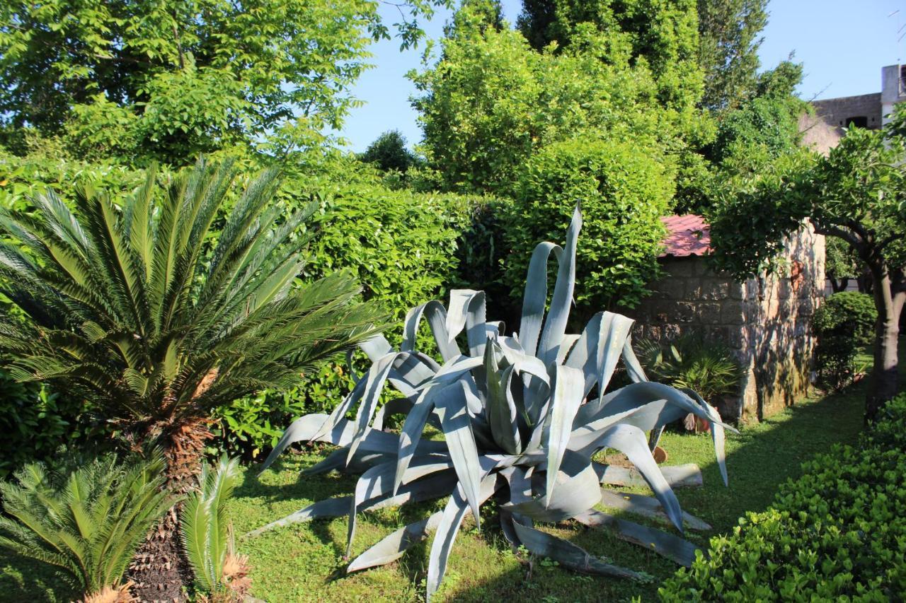 Il Giardino Degli Agrumi Caserta Kültér fotó