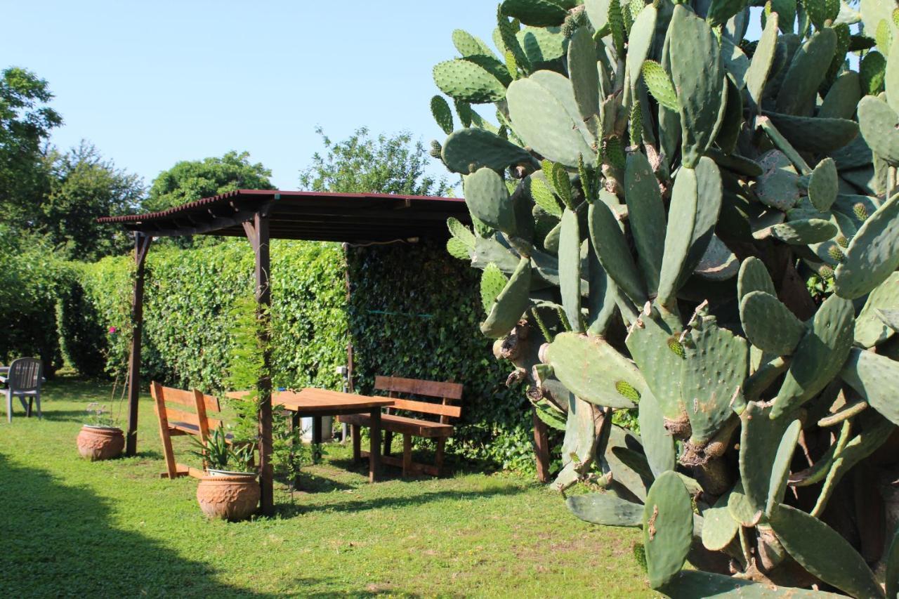 Il Giardino Degli Agrumi Caserta Kültér fotó