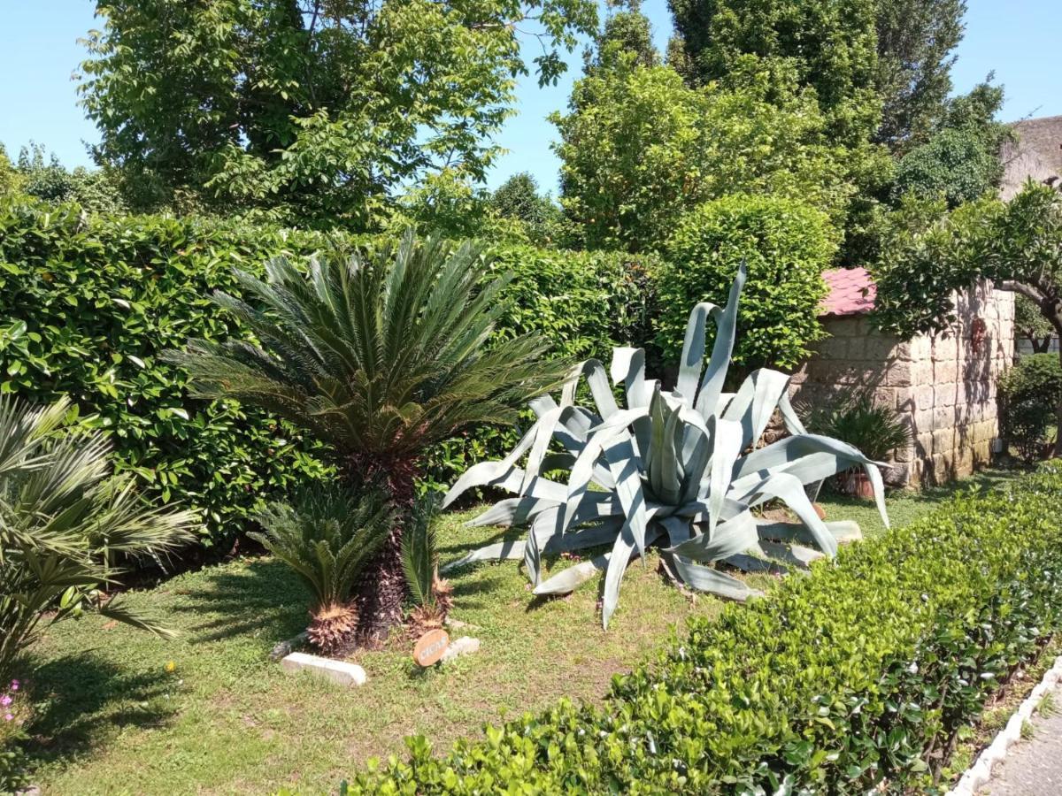 Il Giardino Degli Agrumi Caserta Kültér fotó