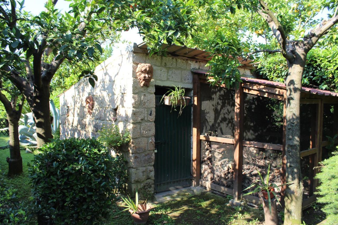 Il Giardino Degli Agrumi Caserta Kültér fotó