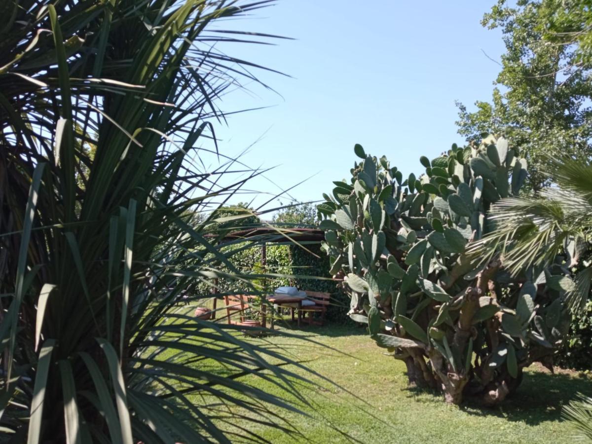Il Giardino Degli Agrumi Caserta Kültér fotó