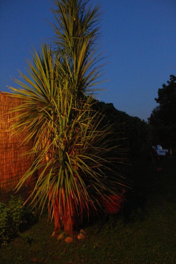 Il Giardino Degli Agrumi Caserta Kültér fotó