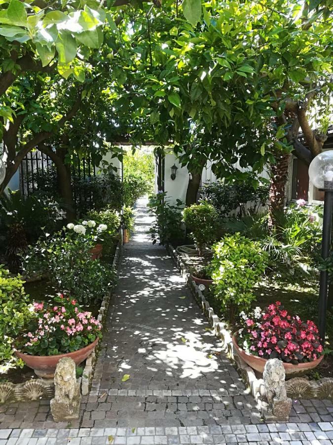 Il Giardino Degli Agrumi Caserta Kültér fotó