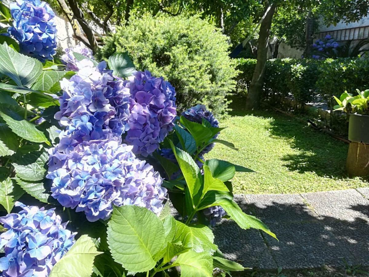 Il Giardino Degli Agrumi Caserta Kültér fotó